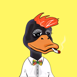 Slacker Duck #2237