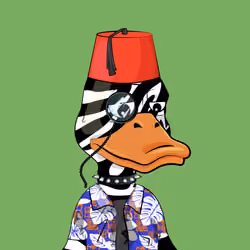 Slacker Duck #4046