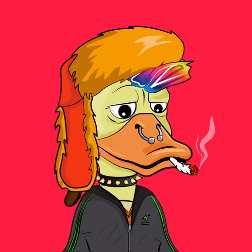Slacker Duck #5995