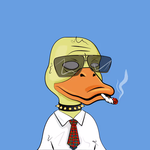 Slacker Duck #2501