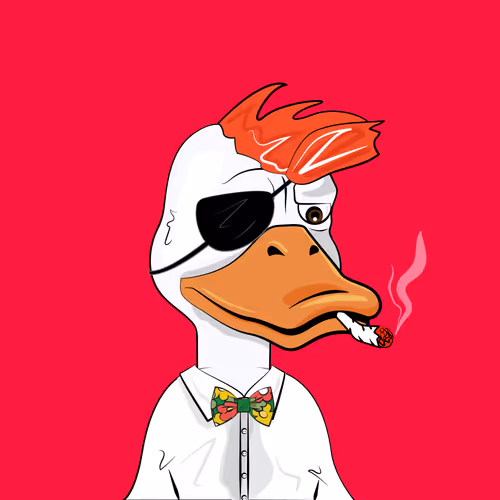 Slacker Duck #1851