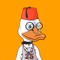 Slacker Duck #4570