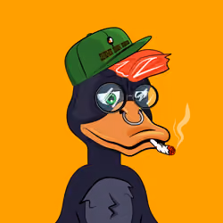 Slacker Duck #2430