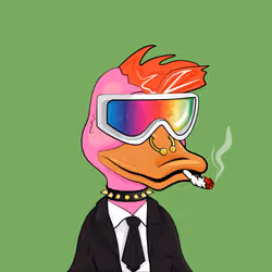 Slacker Duck #1888