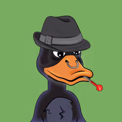 Slacker Duck #2974