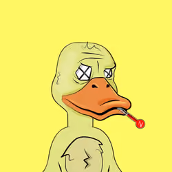 Slacker Duck #2111