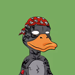 Slacker Duck #5890