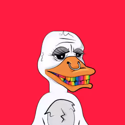 Slacker Duck #554