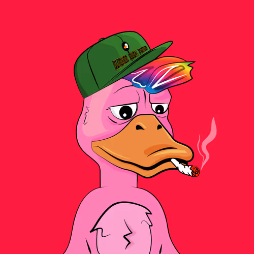 Slacker Duck #427