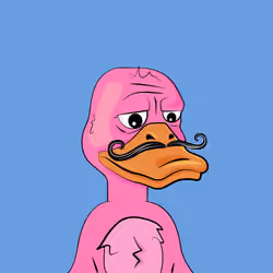 Slacker Duck #4333