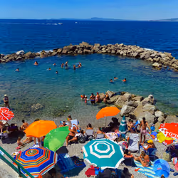 2381976568446569244243622252022377480213