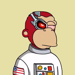 Chimpson #823