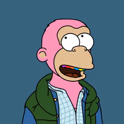 Chimpson #1245