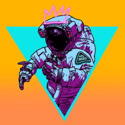 STLRSNS 507