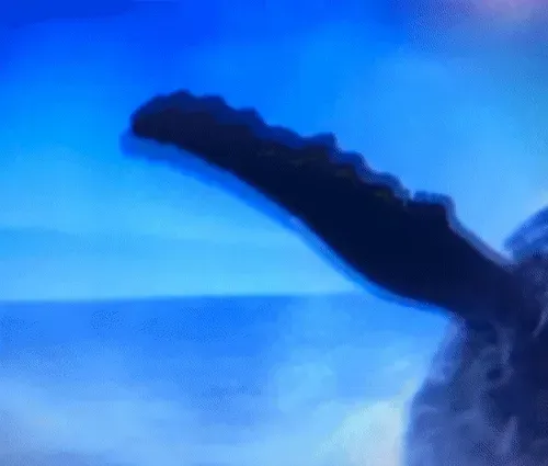 0xec768d77dd32fe045f3e3e2ad664ef7b80d6f127