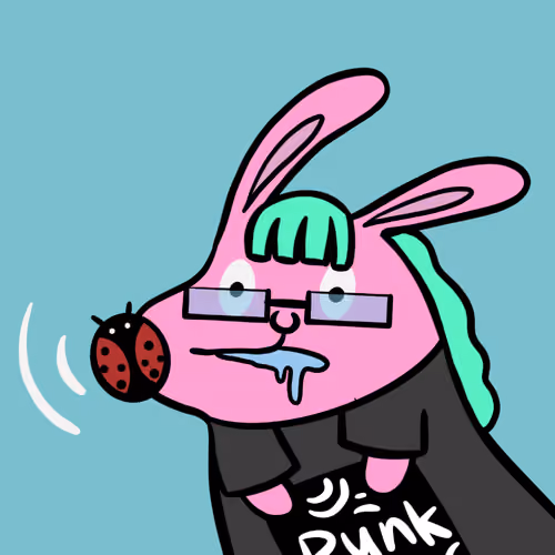 Raraland#3760
