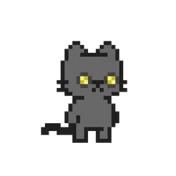 The Feline Experiment #1709