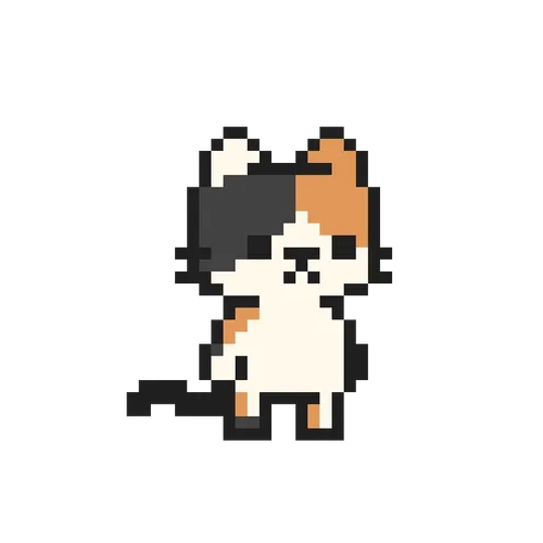 The Feline Experiment