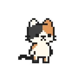 The Feline Experiment #2946