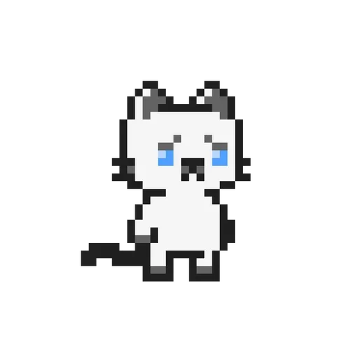 The Feline Experiment