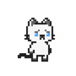 The Feline Experiment #1997