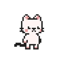 The Feline Experiment #1829