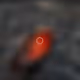 49000055