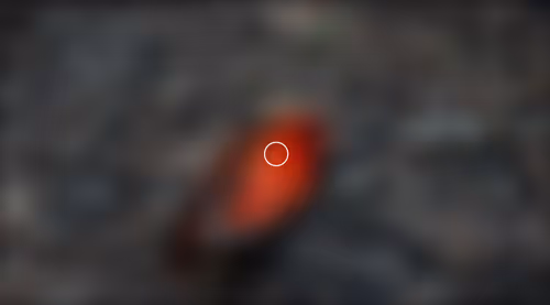 Item #49000057 Media