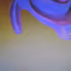 5000002