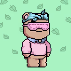 Chill Bear Club - Pixel Avatars #546