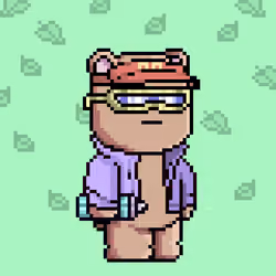Chill Bear Club - Pixel Avatars #1555
