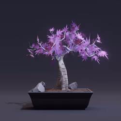 Bonsai #8660