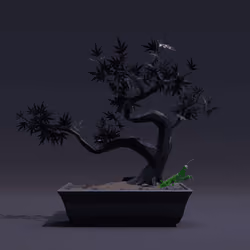 Bonsai #6268