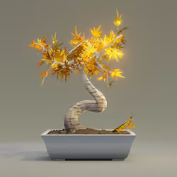 Bonsai #6262