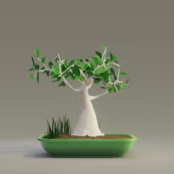 Bonsai #4191