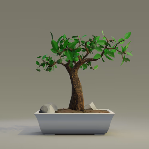 Bonsai #5639