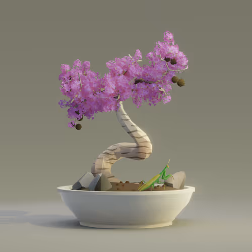 Bonsai Zenft