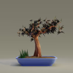 Bonsai #2877