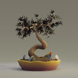 Bonsai #6737