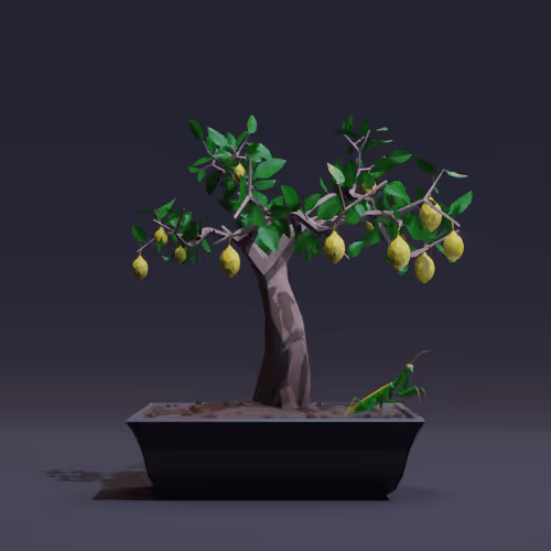 Bonsai Zenft