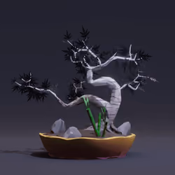 Bonsai #3581