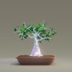 Bonsai #382