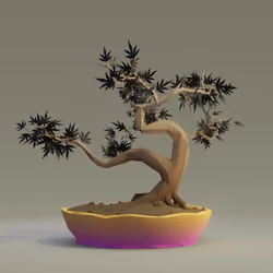 Bonsai #4697