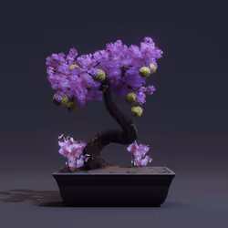 Bonsai #3542