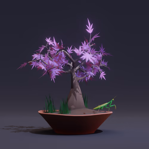 Bonsai #642