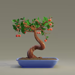 Bonsai #6495