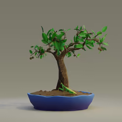 Bonsai #2492