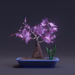 Bonsai #5261