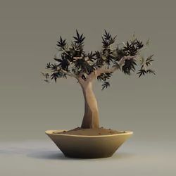 Bonsai #464