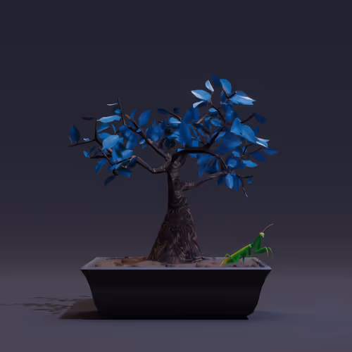 Bonsai Zenft